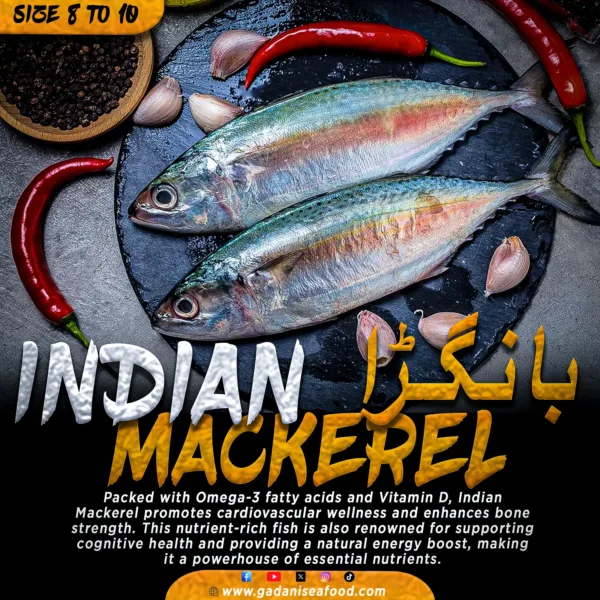Bangara Fish