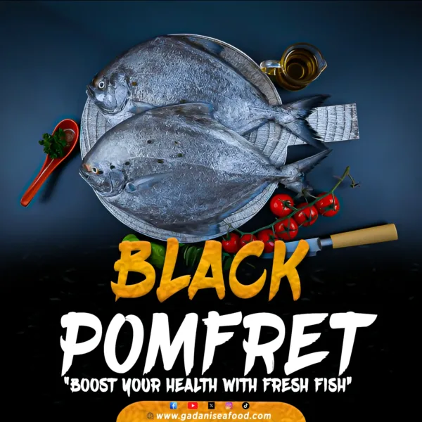 Black Pomfret (Kala Paplet)