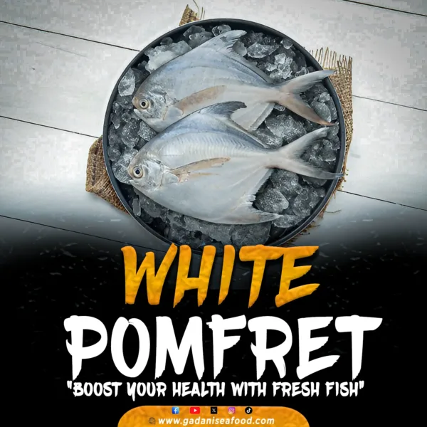 WHITE POMFRETPomfret (Safaid Paplet)